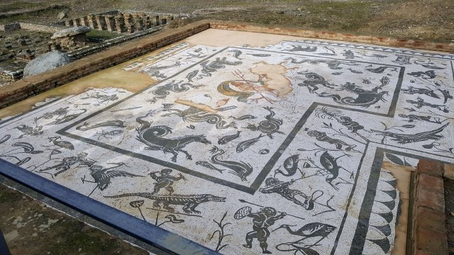 s378 italica